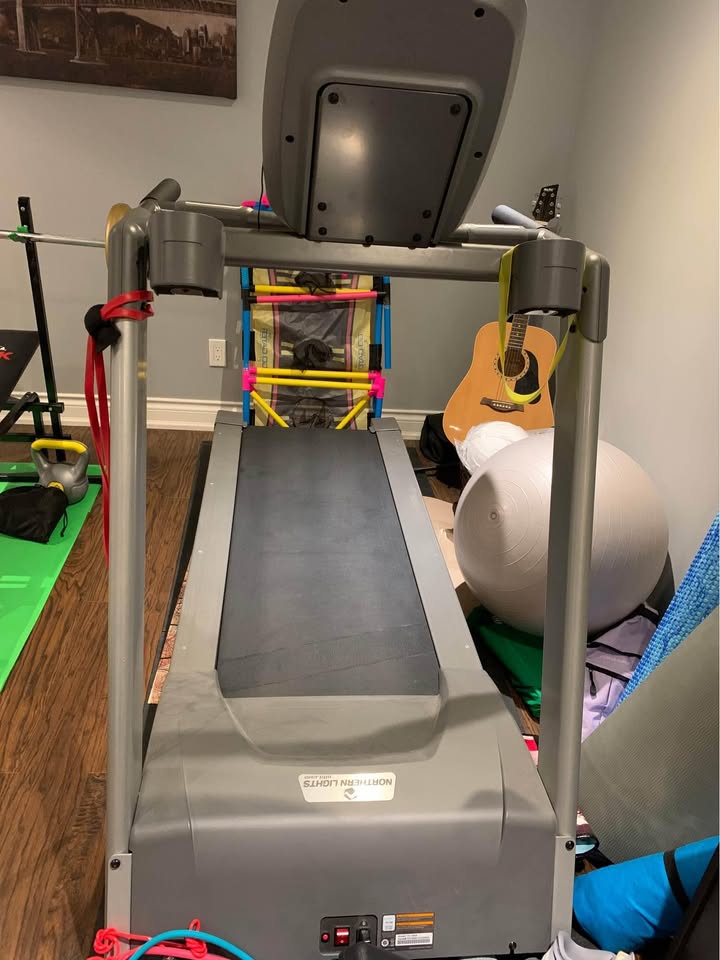 Northern Lights TD-195 treadmill - photo 3