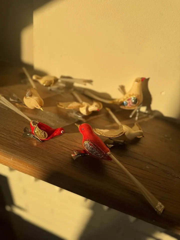 Vintage Clip-On Bird Christmas Ornaments (Set of 7) 🎄 image indicator(3)