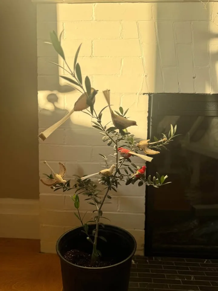 Vintage Clip-On Bird Christmas Ornaments (Set of 7) 🎄 image indicator(4)