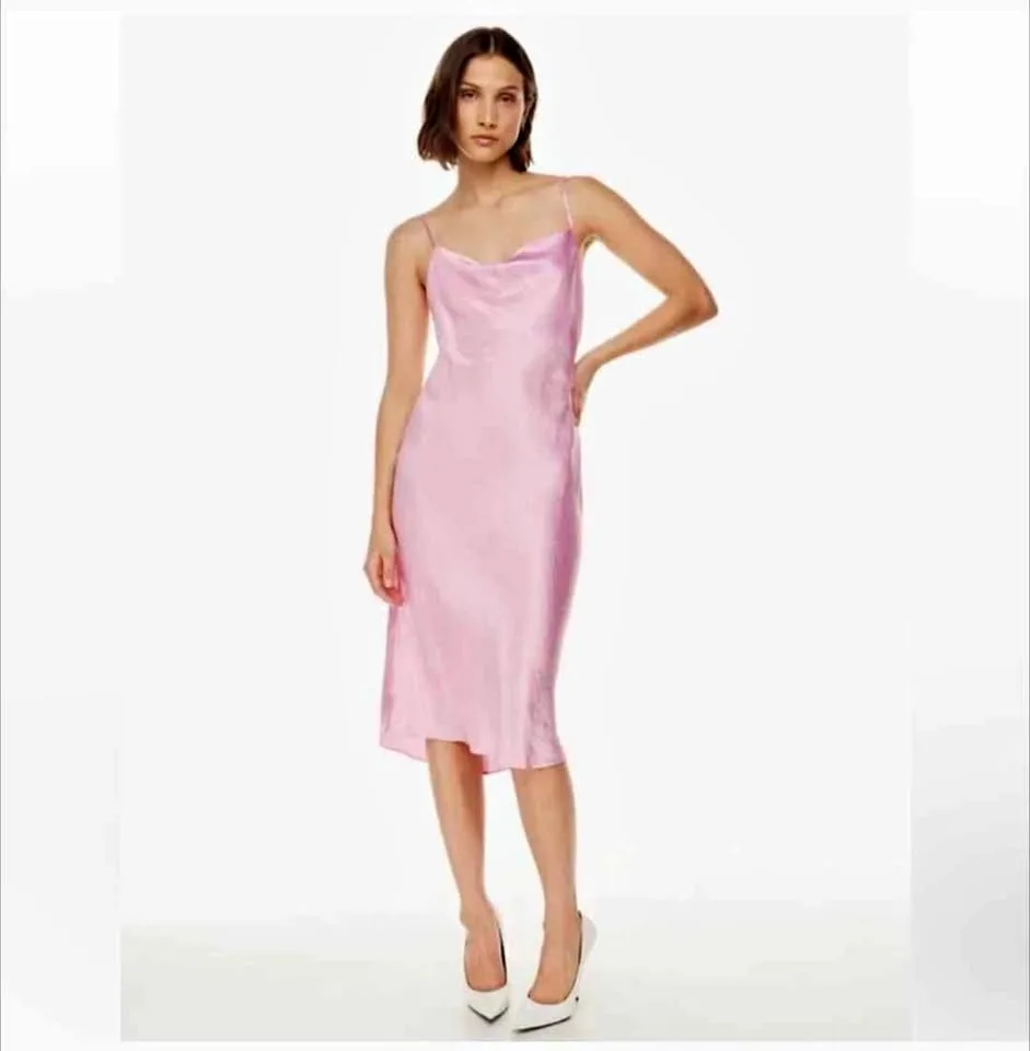 Aritzia Babaton De Niro dress New w/ tags at 1/3rd price! thumbnail