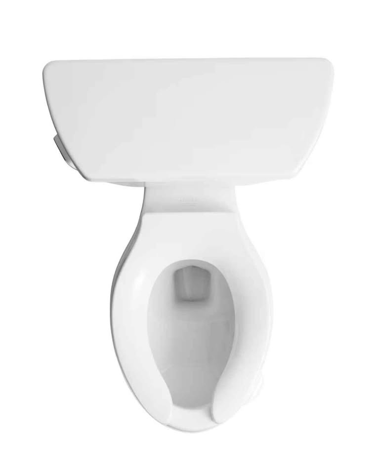 KOHLER Wellworth Classic Toilet - photo 2