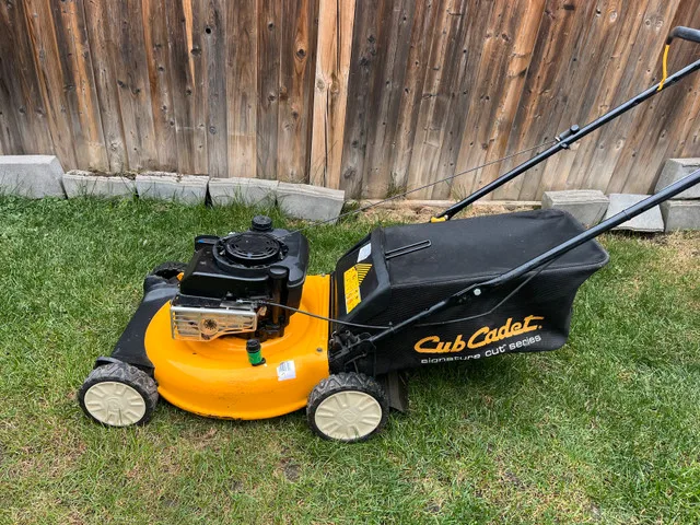 Cub Cadet Lawn Mower image indicator(3)