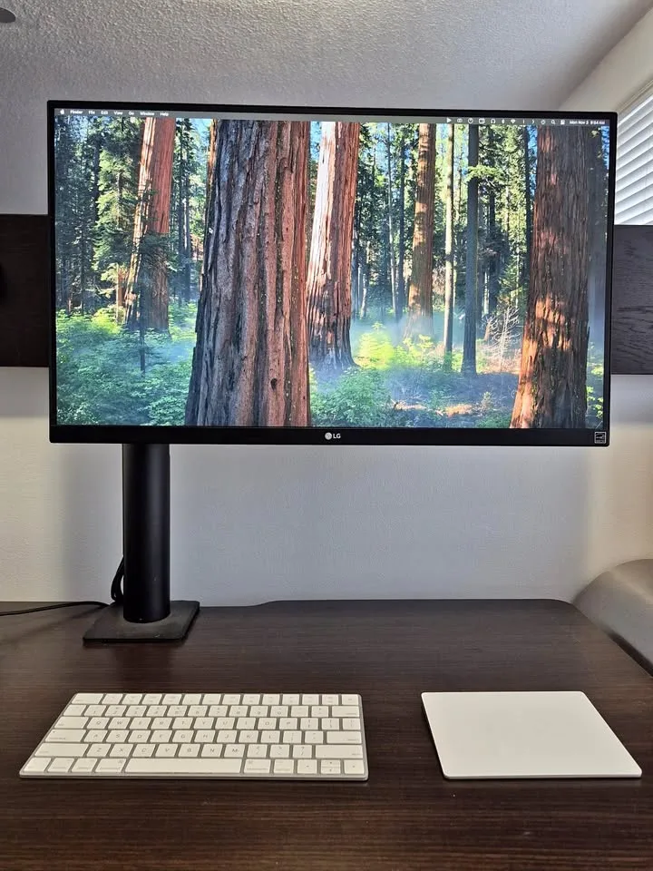 LG UltraFine 27" 4K Monitor w/ Ergonomic Stand thumbnail