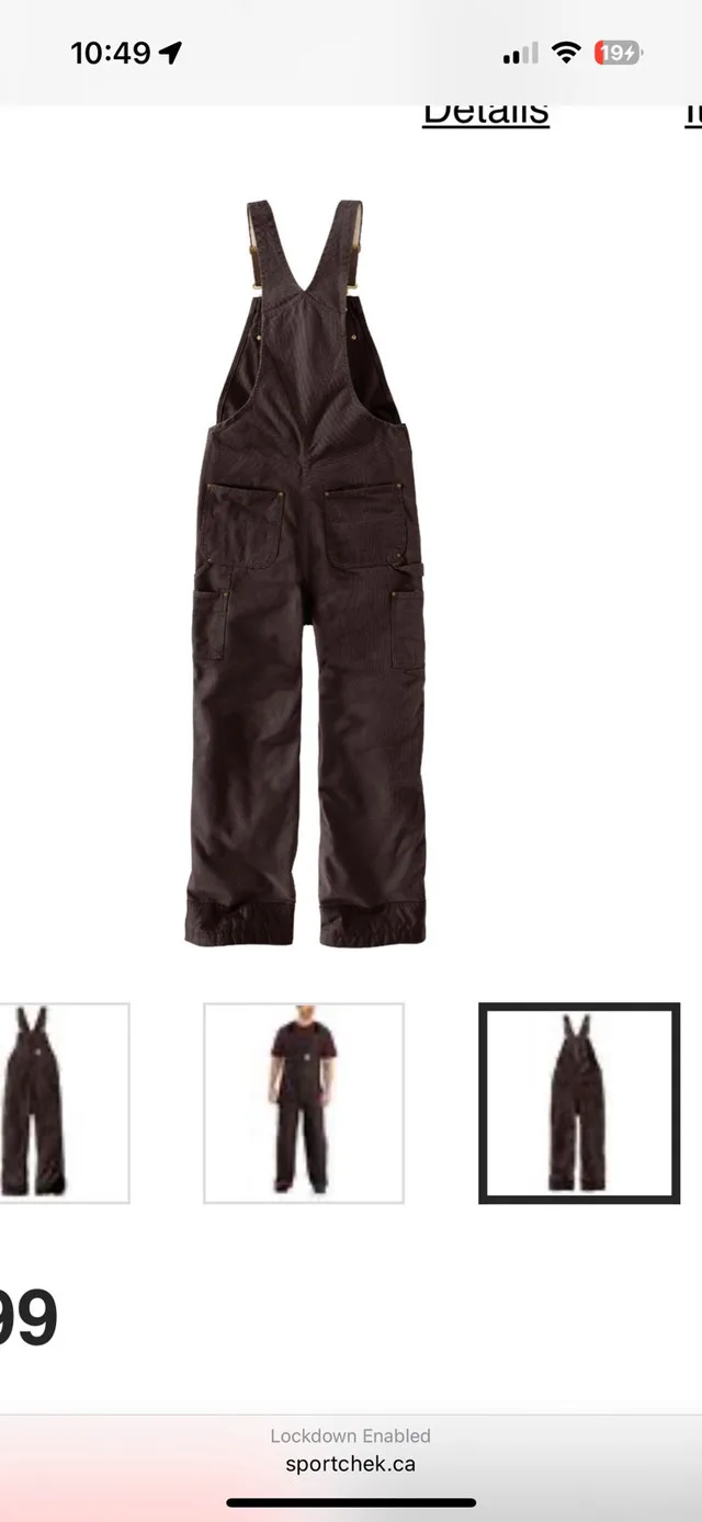 Carhartt Men’s Loose Fit Washed Duck Insulated image indicator(2)