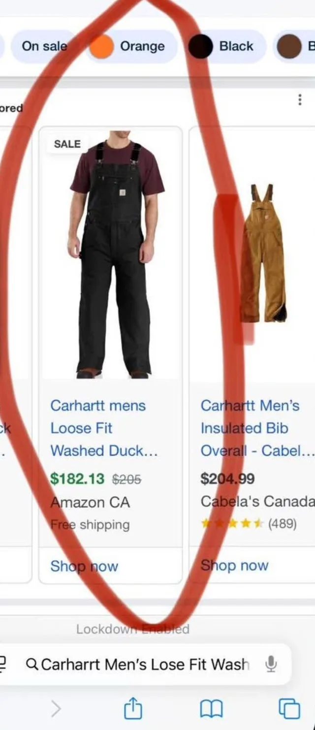 New Carharrt Men’s Lose Fit Washed Duck Insulated image indicator(2)