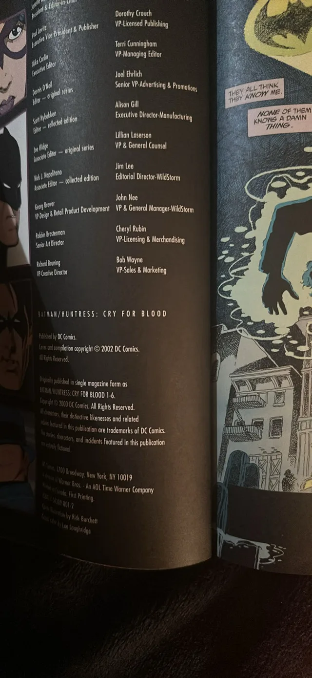 DC: Batman Huntress Cry for Blood (2002) Paperback image indicator(3)