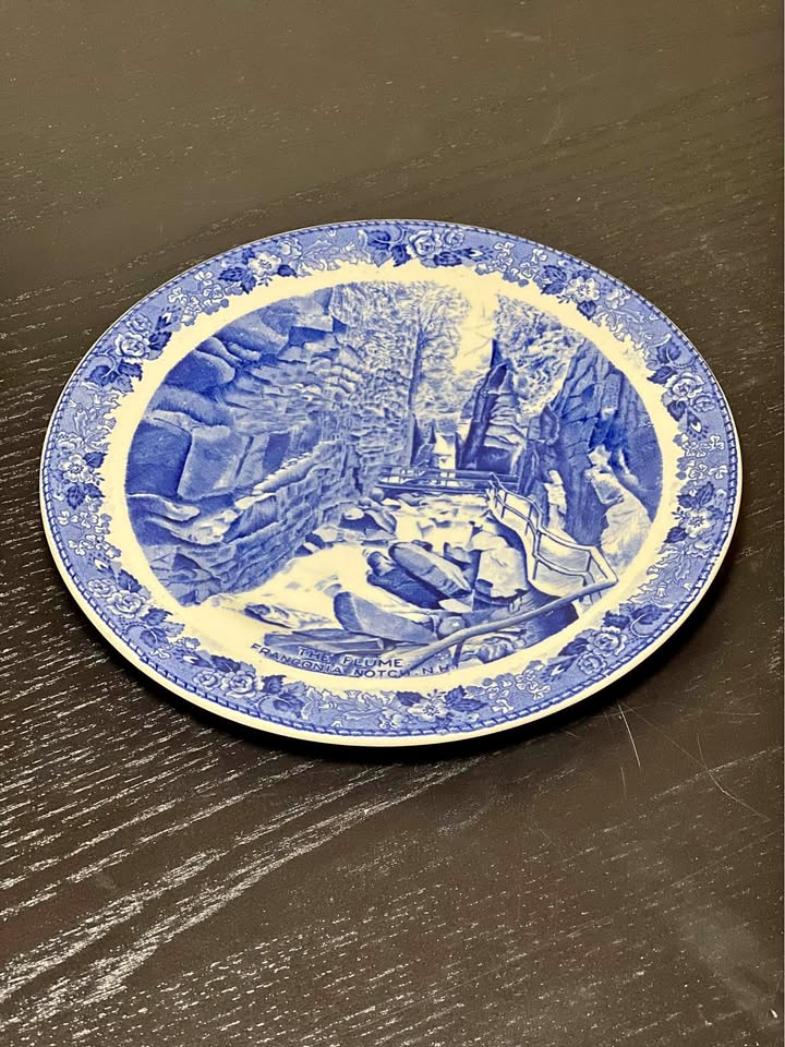 Old English Staffordshire Ware Plate - The Flume