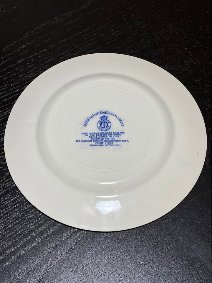 Old English Staffordshire Ware Plate - The Flume - photo 2
