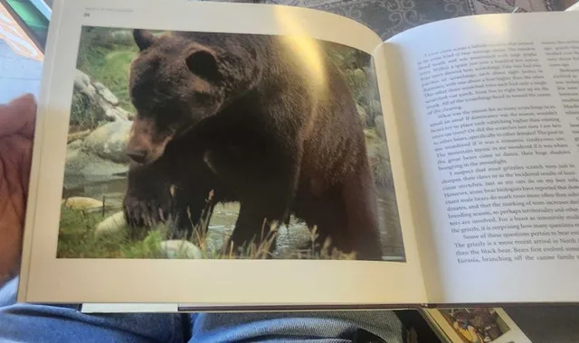 Valley of the Grizzlies image indicator(4)