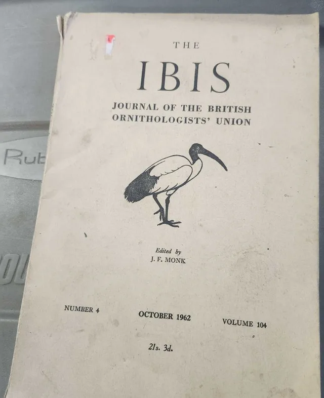 The Ibis Journal 1962