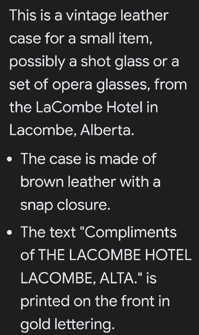 LaCombe Hotel Leather Case image indicator(4)