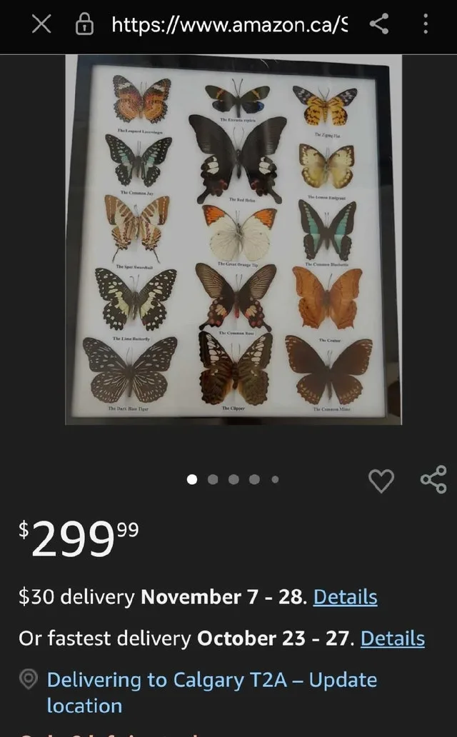 Butterfly Collection image indicator(3)