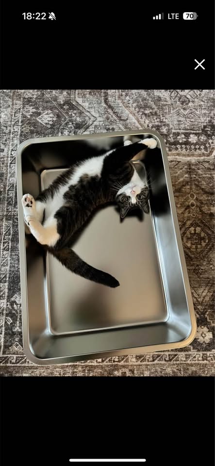 28"x20" Brand-new Cat Litter Box - photo 2
