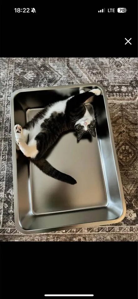 28"x20" Brand-new Cat Litter Box image indicator(2)