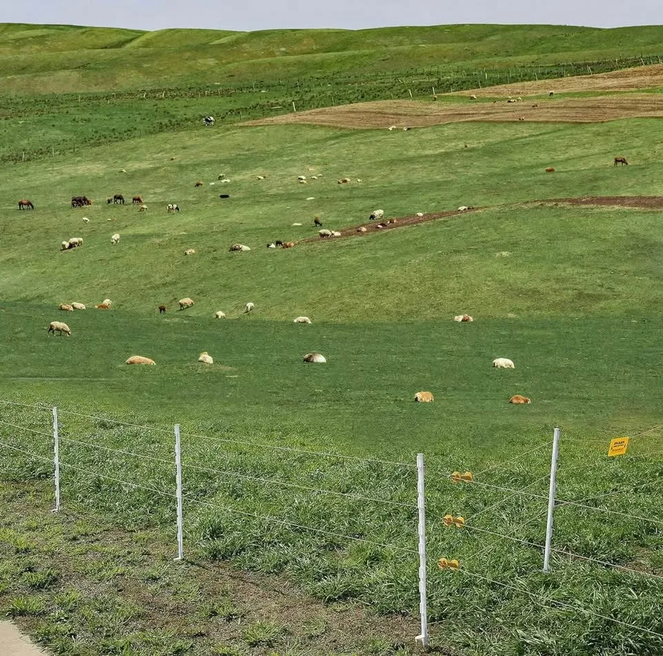 Zoiut 50 Pack Fence Posts,48 Inch/4FT image indicator(7)