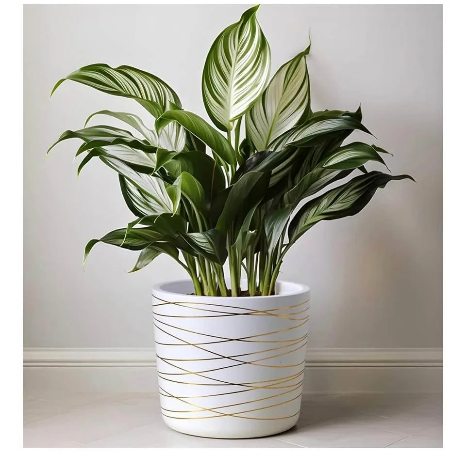 Willowy 9 Inch Ceramic Plant Pot - Matte White with Gold Stripes