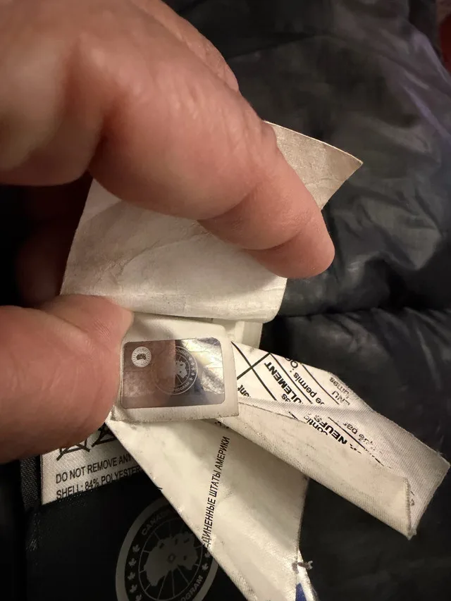 Canada Goose Black image indicator(2)