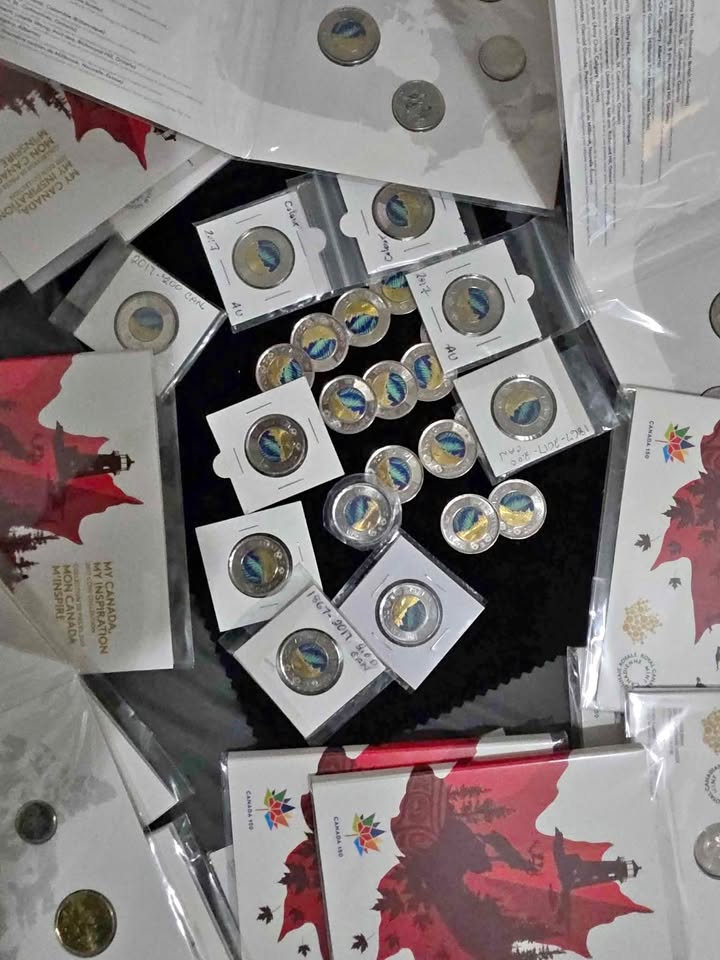 Northern Lights Canadian Toonie