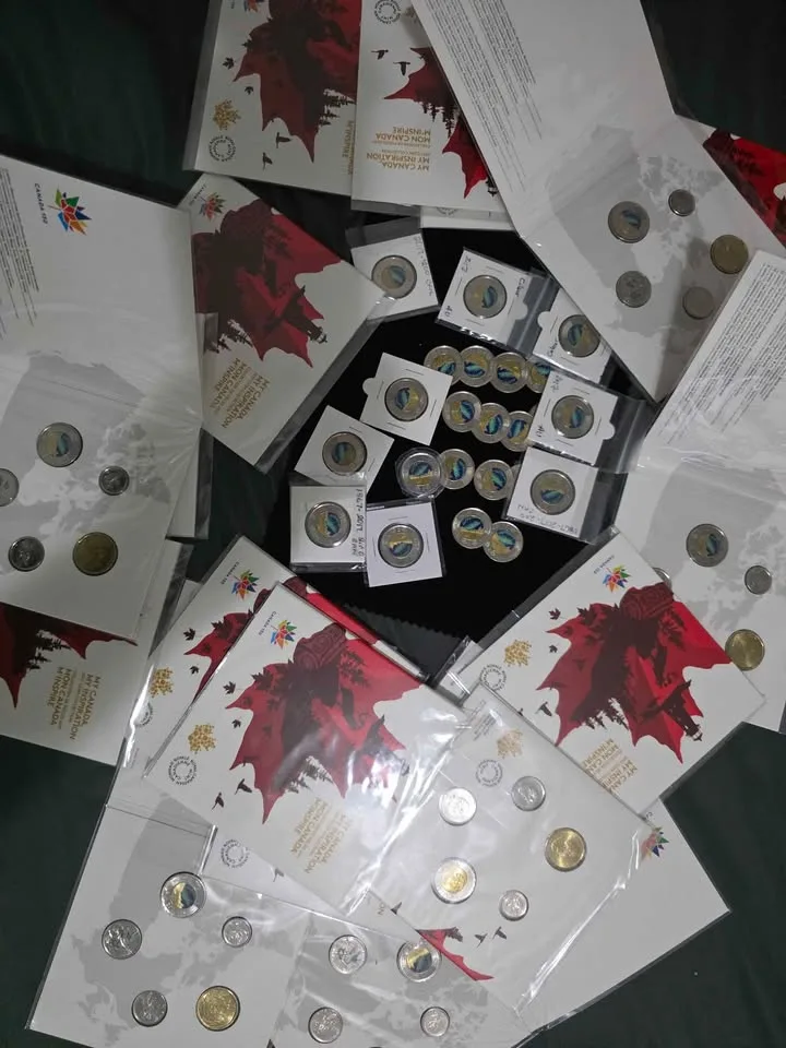 Northern Lights Canadian Toonie image indicator(2)