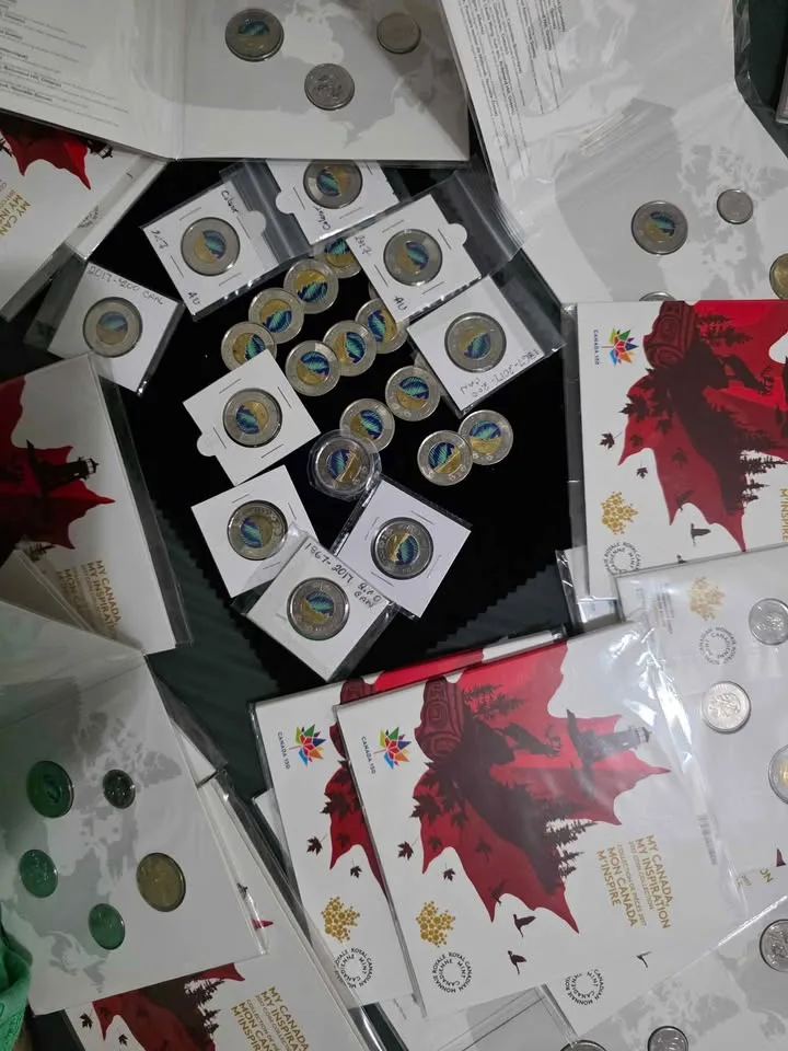 Northern Lights Canadian Toonie image indicator(3)