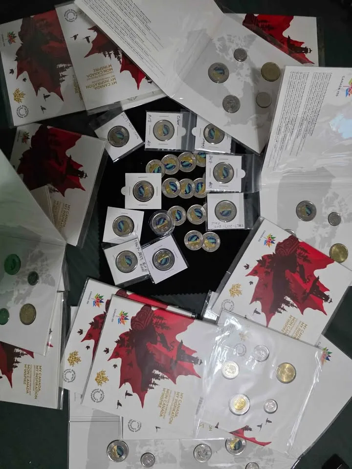 Northern Lights Canadian Toonie image indicator(4)