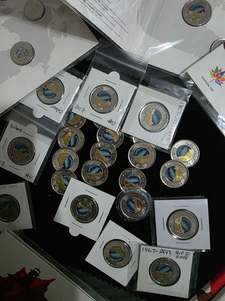 Northern Lights Canadian Toonie - photo 5