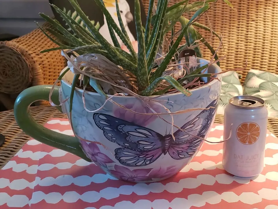 Giant Butterfly Tea Cup Planter image indicator(3)