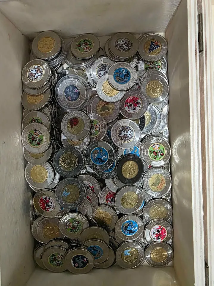 Conmemorative. Canadian toonies image indicator(2)