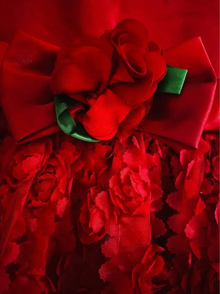 Beautiful girls dress fits 4-5 years old image indicator(2)