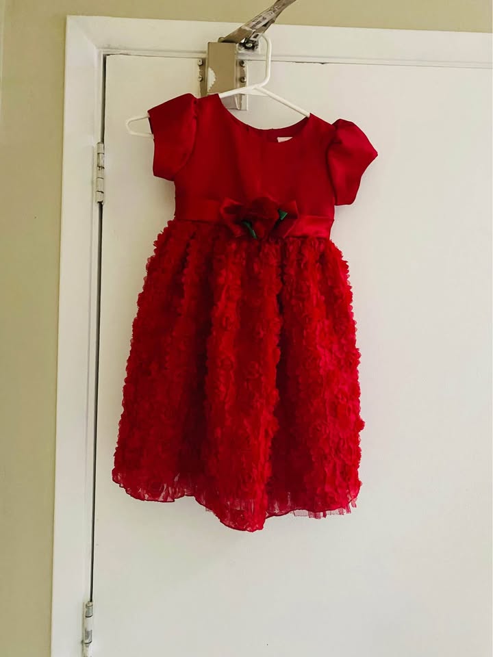 Beautiful girls dress fits 4-5 years old - photo 3