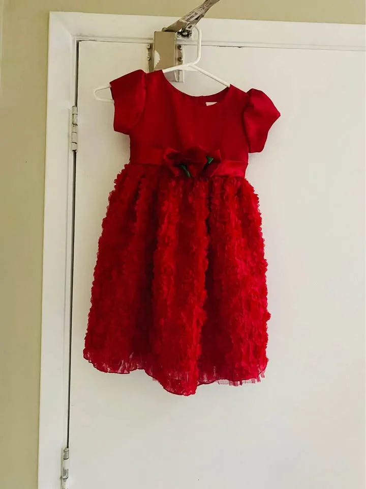 Beautiful girls dress fits 4-5 years old image indicator(3)