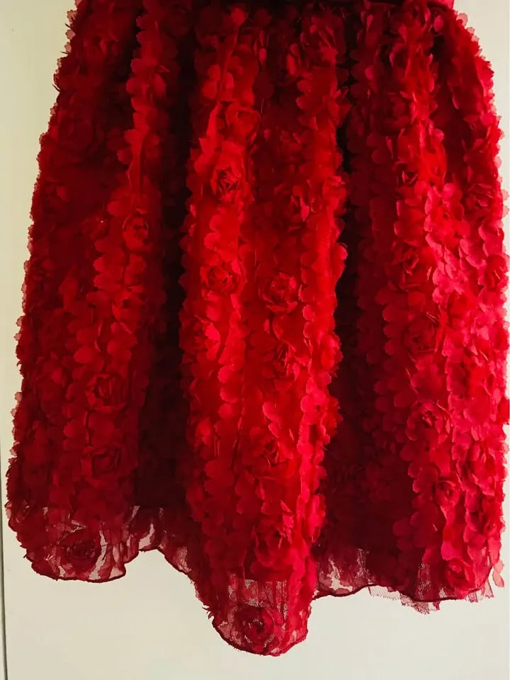 Beautiful girls dress fits 4-5 years old image indicator(4)