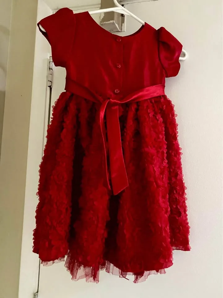 Beautiful girls dress fits 4-5 years old image indicator(5)