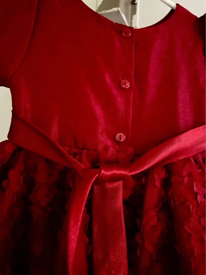 Beautiful girls dress fits 4-5 years old image indicator(7)