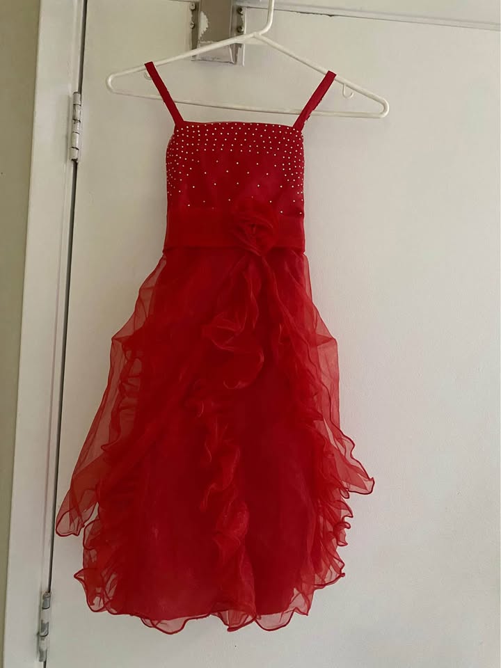 Beautiful girls dress fits 4-5 years old - photo 2