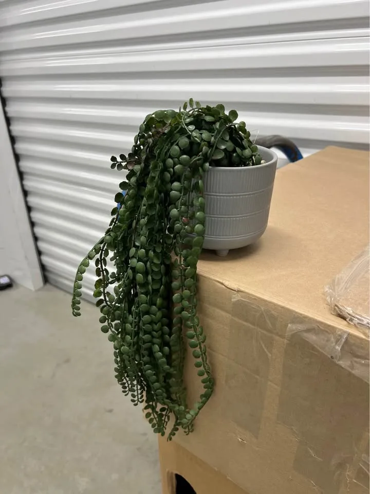 Two faux droopy plant home decor in grey ceramic pot image indicator(2)