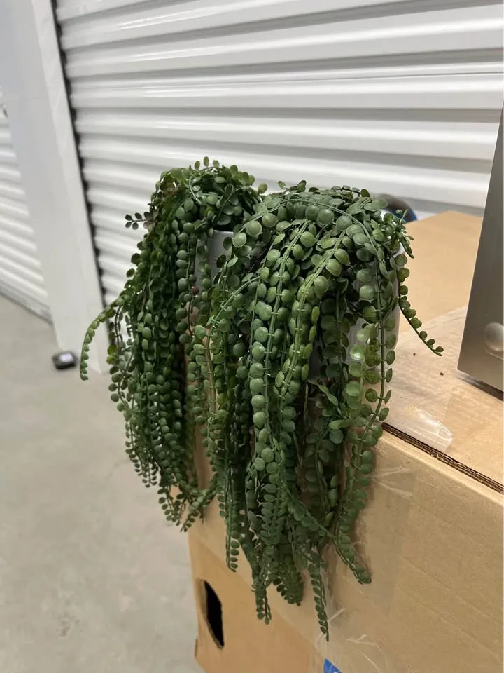 Two faux droopy plant home decor in grey ceramic pot image indicator(3)