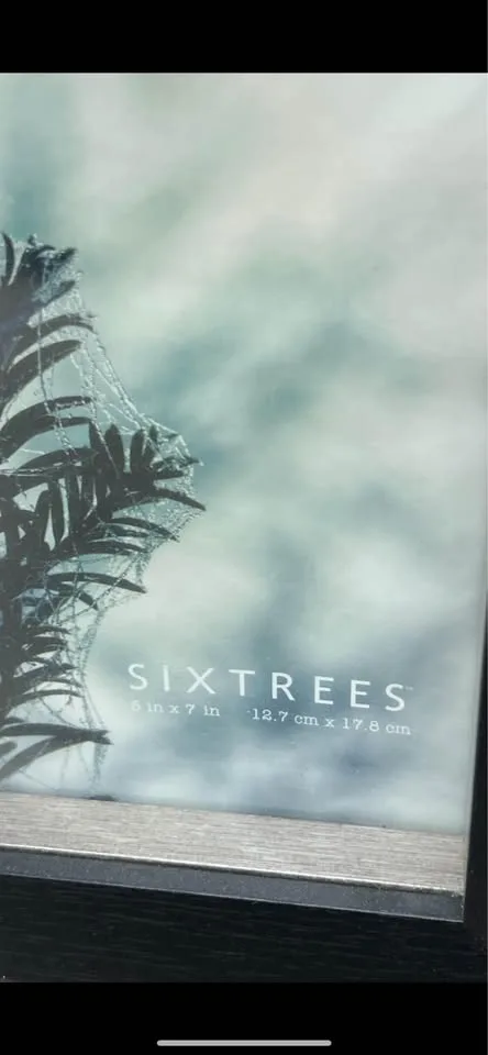 Two sixtrees brand picture frames , new black , 5x7 image indicator(2)