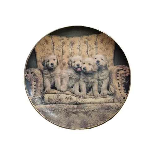 Bradford Exchange Collection Plate - Best Seat in the House*