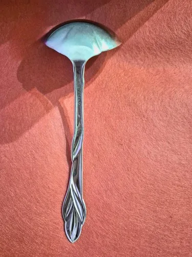 Vintage Oneida Ladle - Eden* image indicator(2)