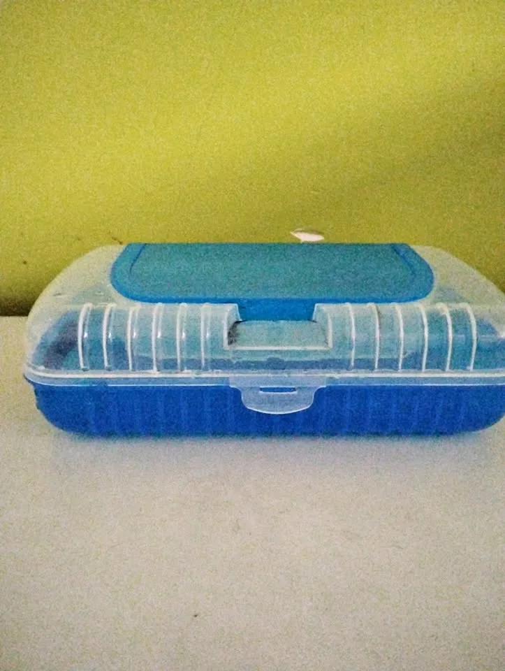 Dual-Compartment Hard Case Pencil Box