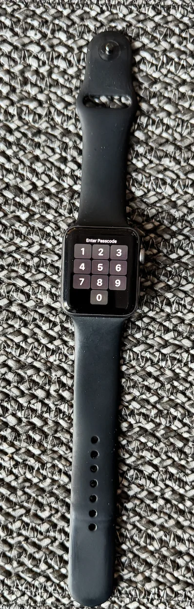 Apple Watch Series 3 - 42MM image indicator(3)
