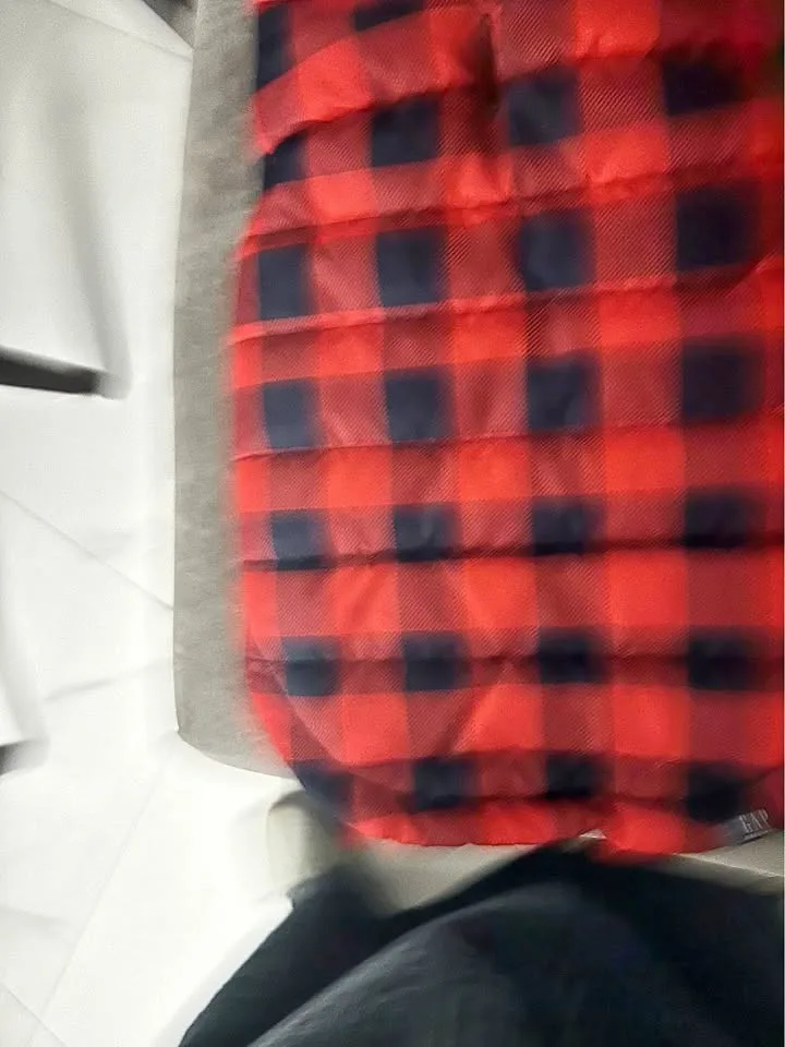 GAP Red and Black Plaid Dog Jacket thumbnail