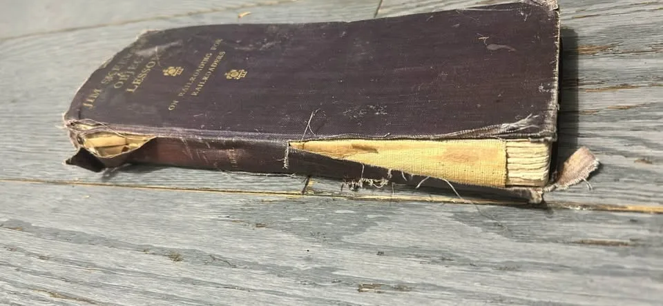 1st Ed 1899 Train Book JIM SKEEVERS RAILROADIN image indicator(2)