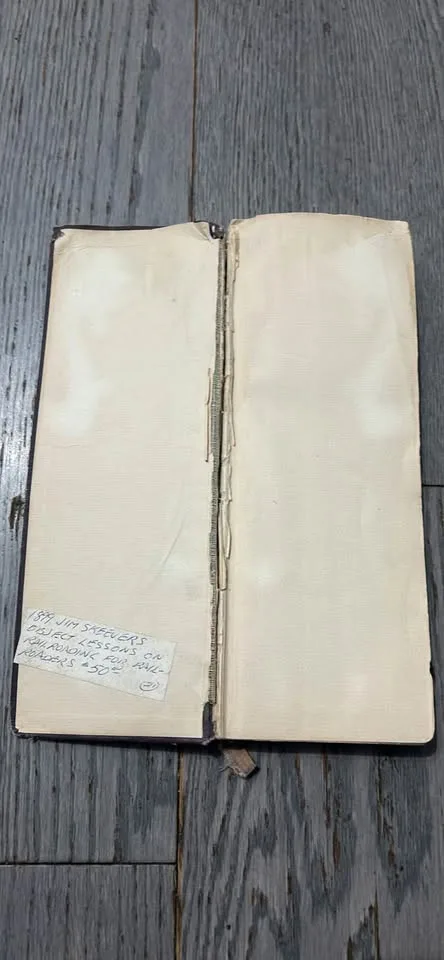1st Ed 1899 Train Book JIM SKEEVERS RAILROADIN image indicator(3)