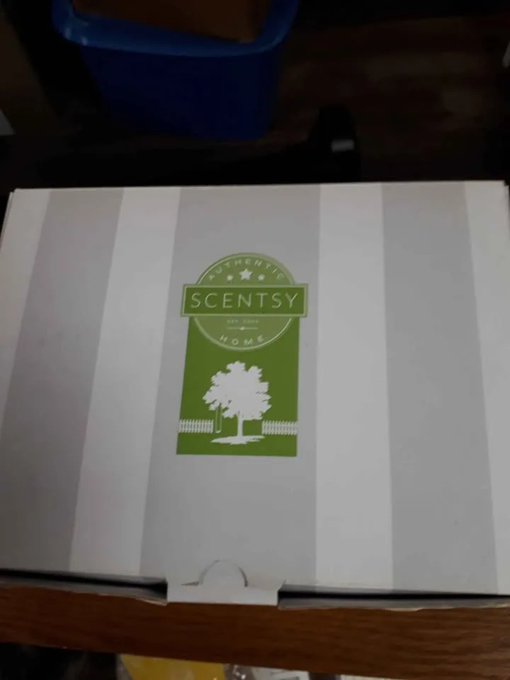 Candy Skull Scentsy Burner image indicator(6)