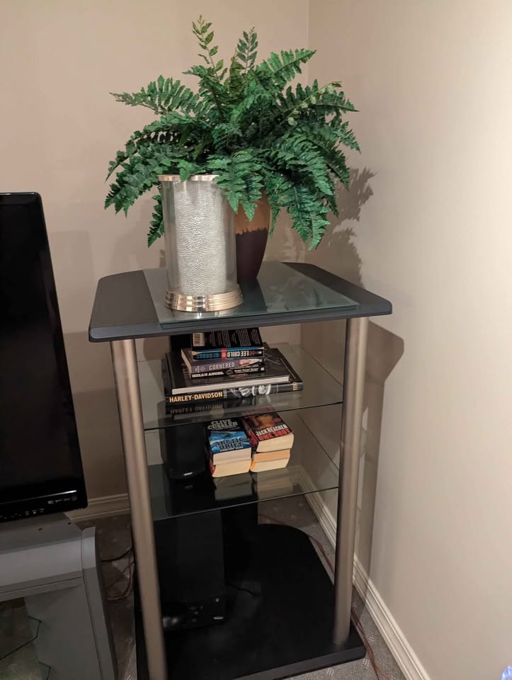 TV stands end stands coffee tables black couch book shelves silk - photo 4