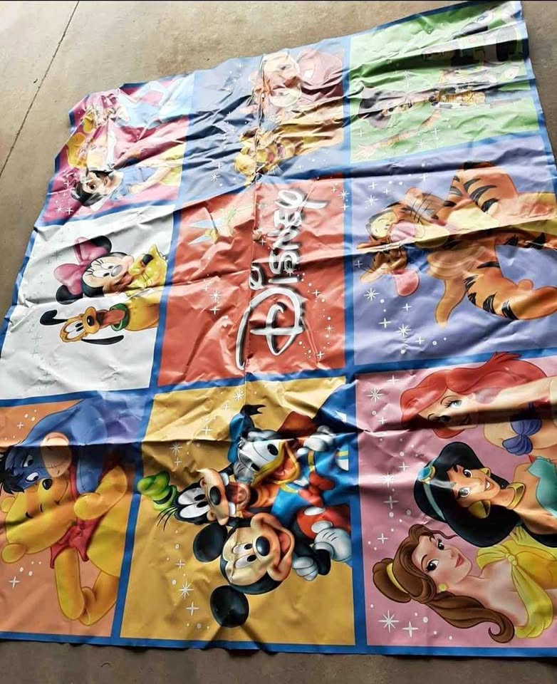 Disney Vinyl Banner