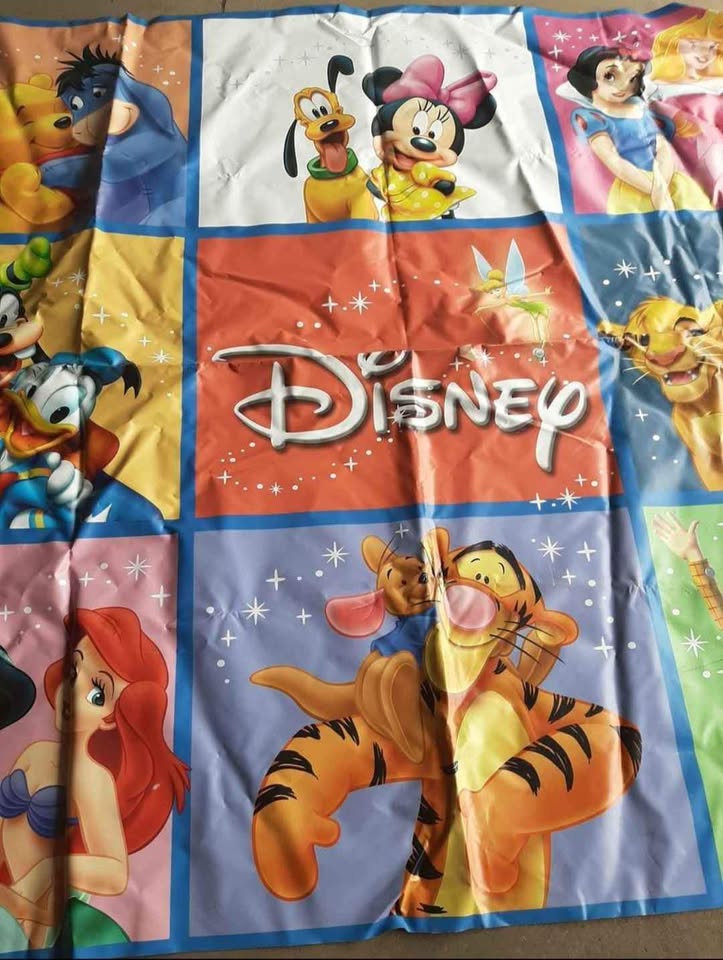 Disney Vinyl Banner - photo 2