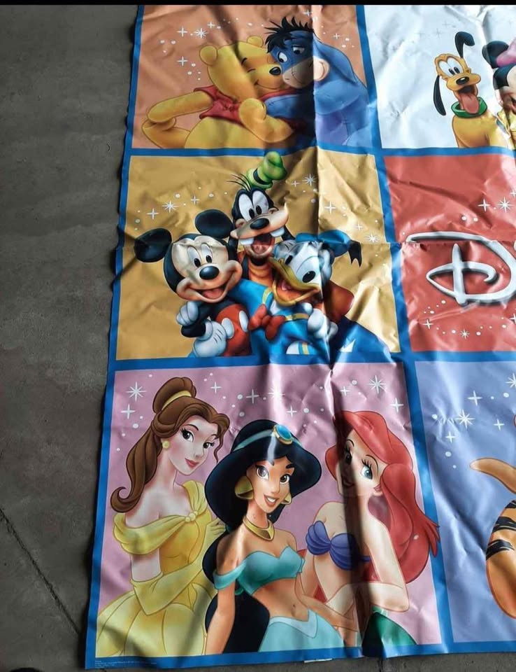 Disney Vinyl Banner - photo 4